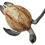 Michelle Bolton - @michelleboltonwoodcarver - Instagram