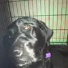 Michelle Boomer - @michelle.boomer7 - TikTok