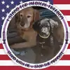 michellelovittborer - @wyomingmikey - TikTok