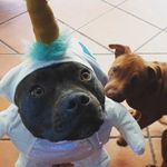 Michelle Borg - @my_spicegirlz - Instagram