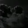 662332323782 - @michelleborquez78 - TikTok