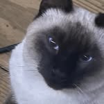 Michelle Boutwell Simpson - @michellesimpson9244 - Instagram