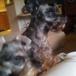 michelle bowerman - @manor2335 - Instagram