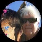 Michelle Hartwick Bowes - @_bowesmichelle - Instagram