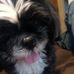 Michelle Bowser - Facebook