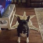 Michelle Bowser - @michelle.bowser.357 - Instagram