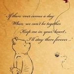 Michelle Bowser - @mpb6776 - Instagram