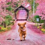 Michelle Brain - @gi68353862021 - Instagram