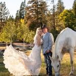 Michele Raeann Brawner - @micheleshellisranch - Instagram