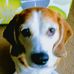 Michelle Brazier - Facebook