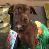 Michelle_Brazier - @Michelle_Brazier - TikTok