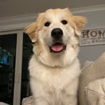 Michelle McClanahan Brickley - @chellebrick_ - Instagram