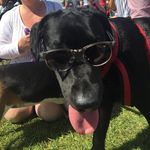 Michelle Brightwell - @michelle.brightwell - Instagram