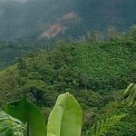 Michelle Brookman - @michelle.brookman.378 - Instagram