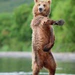 Michelle Buckham - @honeybear76 - Instagram