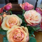 Michelle Buckland - Facebook