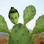 Michelle Buckland - @mishbuckland - Instagram
