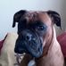Michele Buckman - Facebook
