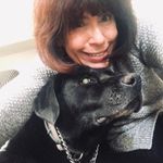 Michelle Buckman - @michellebuckmanrealtor - Instagram
