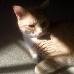 Michelle Buckman Williams - @buckymichellewilliams - Instagram