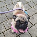 Buffy Michelle - @michelle.buffy - Instagram