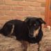 Michelle Bulmer - Facebook