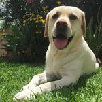 Michelle Bunton - @shell_be_ok - Instagram