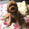Michelle Burch - @michelle.burch62 - TikTok