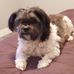 Michele Burchell - Facebook