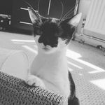 Michelle Burchell - @burchellmichelle - Instagram