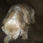Michelle Lou Burroughs - @thibodeaux.clint - Instagram