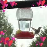 Michelle Burrow - @burrowmichelle - Instagram