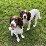 Michelle Burrow - @snoop_dawg2 - Instagram
