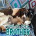 Michelle Snoopy Burrow - Facebook