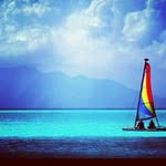 Michele Buscemi - @buscemi_michele - Instagram