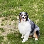Michelle Buteau - @michelleeddleman67 - Instagram