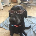 Michelle Freese Byard - @suleymom - Instagram