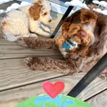 Michelle Byerly Owens - @michelleowens9600 - Instagram