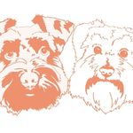 Michelle Cadet Bickham - @schnauzer_lyfe - Instagram