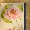Michelle L’Arabie - @michellecaffrey75 - TikTok