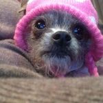 Michelle Cagle - @totally_gnarley - Instagram