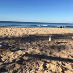 Michelle - @michelle_camus_ - Instagram