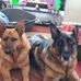 Michelle Canavan - Facebook