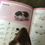 Michelle Canavan - @slcanavan7 - Instagram