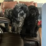 Michelle Cancel - Facebook