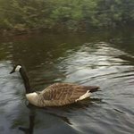 Michelle Canfield - @canfieldmichelle - Instagram