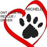 Michelle Cardinal - @michellecardinal55 - Instagram