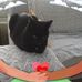 Michelle Carle - Facebook