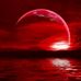 Michelle Carle - Facebook