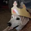 Michelle Carleton - @michelle.carleton - TikTok